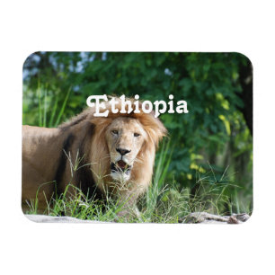 Magnet Flexible Lion de l'Ethiopie