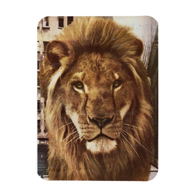 Magnet Flexible lion en ville (Vertical)