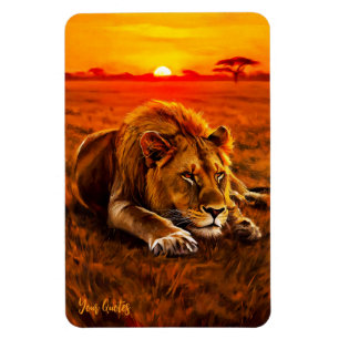 Magnet Flexible Lion mâle au repos sur la savane dorée