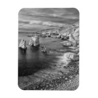 Littoral de la plage en N&B, Californie