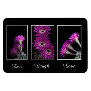 Magnet Flexible Live, Rire, Love trio de fleurs de Cactus