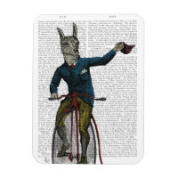Llama à vélo