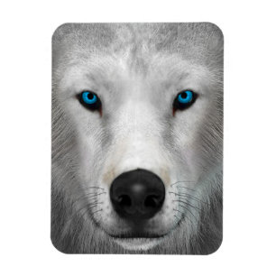 Magnet Flexible Loup Arctique