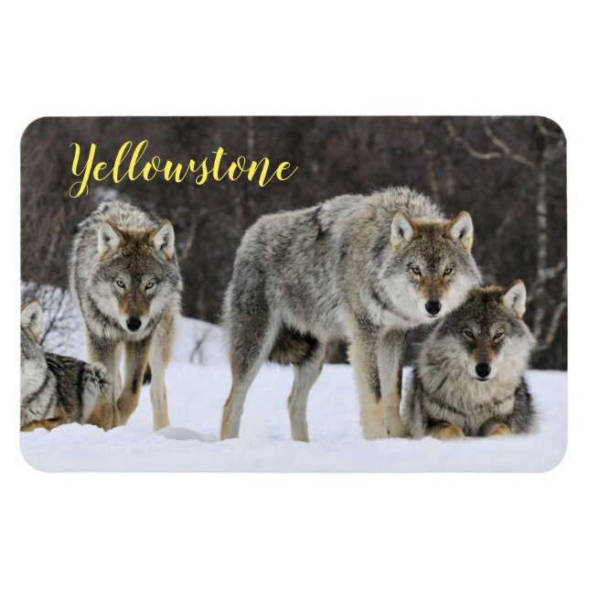 Magnet Flexible Loup de Magnet-Yellowstone (Horizontal)