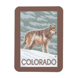Magnet Flexible Loup gris StandingColorado