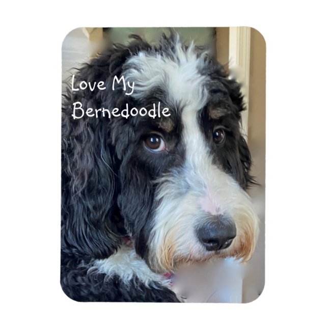 Magnet Flexible Love My Bernedoodle (Vertical)
