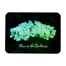 Luminosité dans l'obscurité Lilacs vert Altered Ph