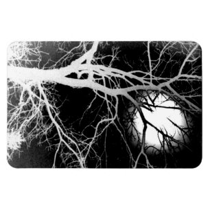 Magnet Flexible Lune