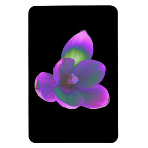 Magnet Flexible Magnét de haute qualité avec fleur de crocus de be