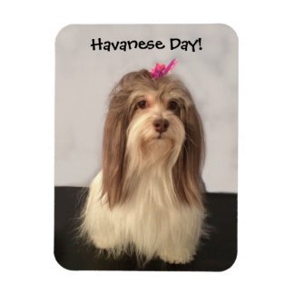 Magnet Flexible Magnet, HAVANESE DAY ! par Nancy Lee Garrett