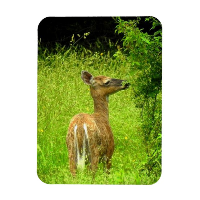 Magnet Flexible Mama Deer Browser (Vertical)