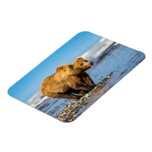 Magnet Flexible Maman ours regarde ses deux enfants