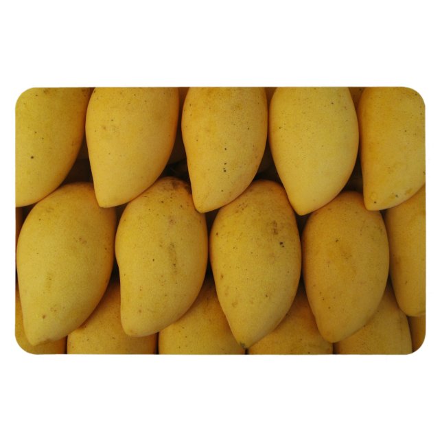 Magnet Flexible Mango (Horizontal)