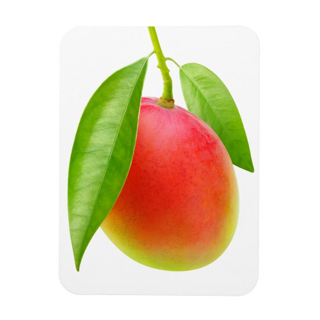 Magnet Flexible Mango (Vertical)