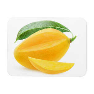 Magnet Flexible Mangue jaune coupée