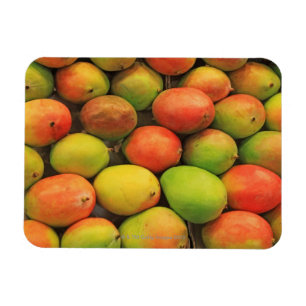 Magnet Flexible Mangues, Espagne, Catalogne, Barcelone, La