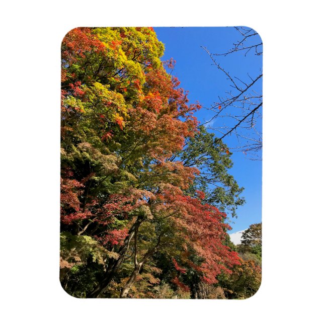 Magnet Flexible Maples colorées vives (Vertical)