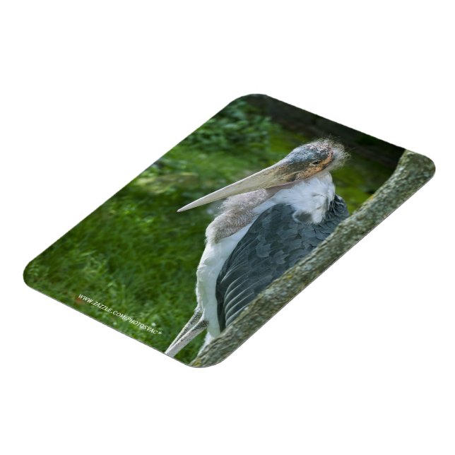 Magnet Flexible Marabou (Côté Gauche)