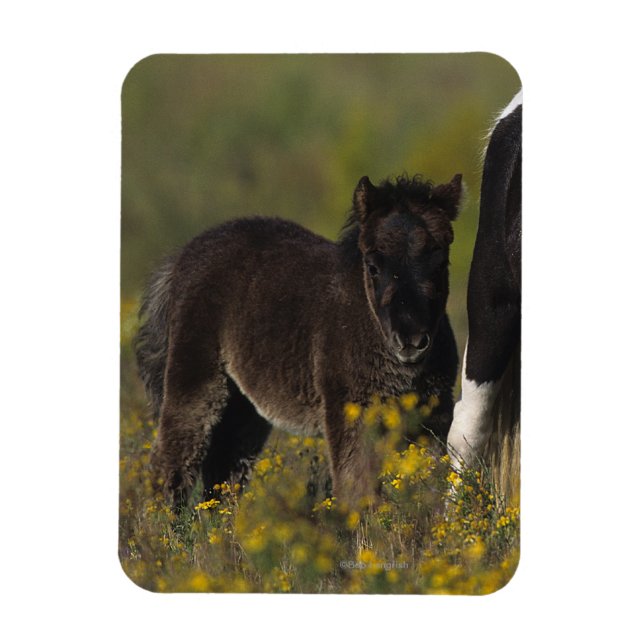 Magnet Flexible Mare miniature et Foal dans les fleurs (Vertical)