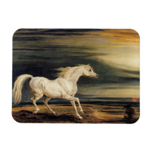 Magnet Flexible Marengo le cheval blanc