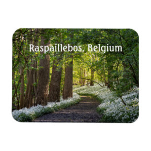 Magnet Flexible Matin du printemps à Raspaillebos, Belgique