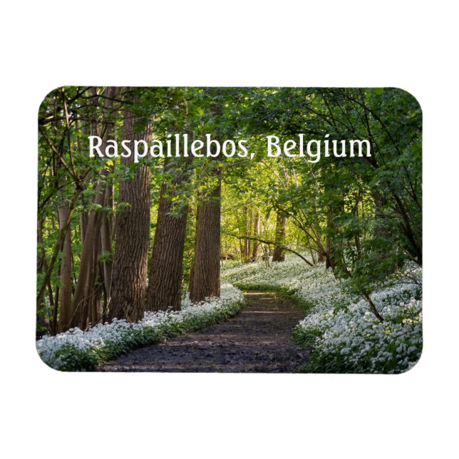 Magnet Flexible Matin du printemps à Raspaillebos, Belgique (Horizontal)