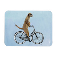 Meerkat à vélo 2