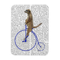 Meerkat Sur Blue Penny Farthing