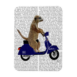 Magnet Flexible Meerkat sur Dark Blue Moped