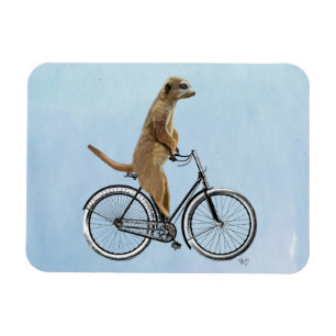 Magnet Flexible Meerkat sur la bicyclette 2