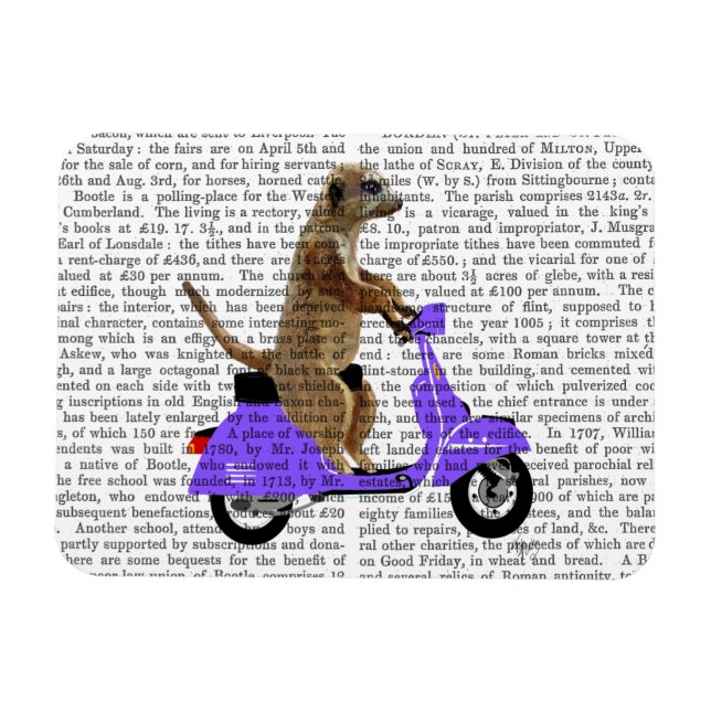 Magnet Flexible Meerkat sur Lilac Moped (Horizontal)