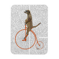 Meerkat sur Orange Penny Farthing