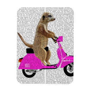 Magnet Flexible Meerkat sur Pink Moped