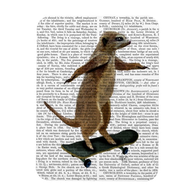 Magnet Flexible Meerkat Sur Skateboard 2 (Vertical)