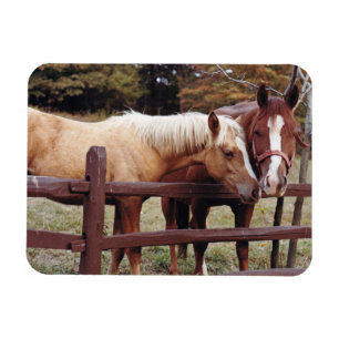 Magnet Flexible Meilleurs amis