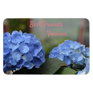 Magnet Flexible Meilleurs amis pour toujours Hydrangeas