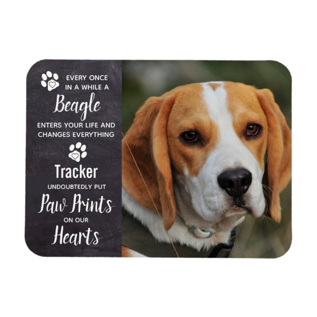Magnet Flexible Mémorial beagle (Horizontal)