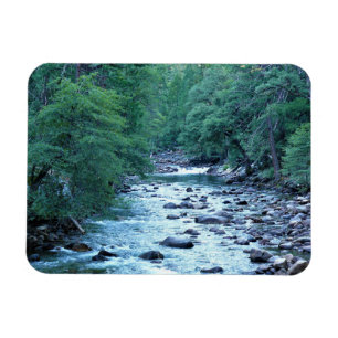 Magnet Flexible Merced river by Happy Isles, Yosemite, CA