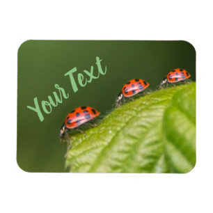 Magnet Flexible Mignonne petite coccinelle donne chance et fortune
