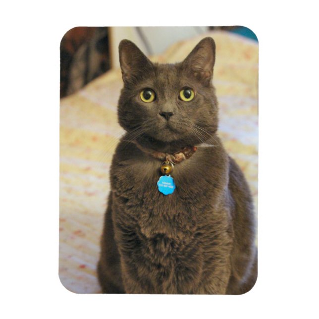 Magnet Flexible Mims (Vertical)