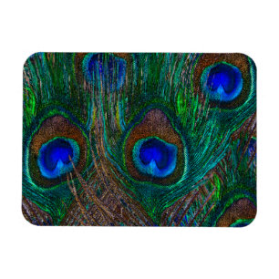 Magnet Flexible Minuit Peacock Plumes Etching Style Décor