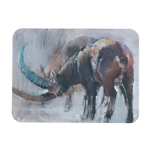 Magnet Flexible Moins vingt (Horizontal)