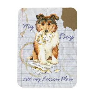 Magnet Flexible Mon Collie a mangé mon plan de leçon
