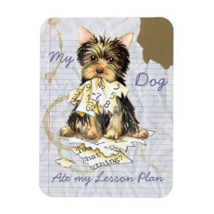 Magnet Flexible Mon Yorkie a mangé mon plan de leçon