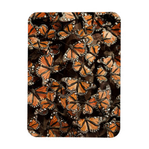 Magnet Flexible Monarque Butterflies