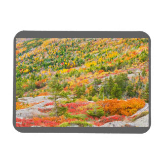 Magnet Flexible Montagne Cadillac à l'automne, Parc national Acadi