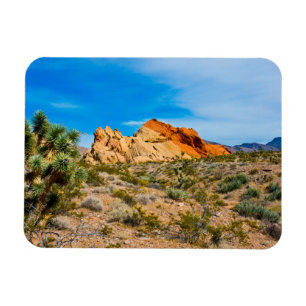 Magnet Flexible Monument national Gold Butte, Whitney Pocket