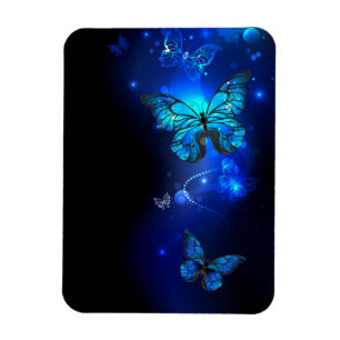 Magnet Flexible Morpho Butterfly in the Dark Background