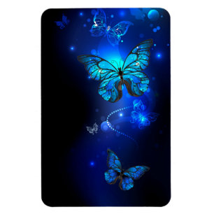 Magnet Flexible Morpho Butterfly in the Dark Background