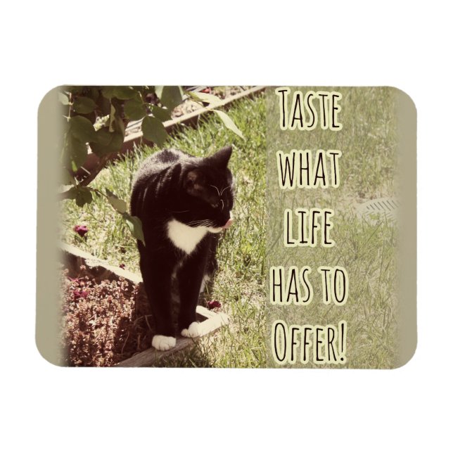 Magnet Flexible Motivation Goût de vie Cat Citation Art Amusant (Horizontal)